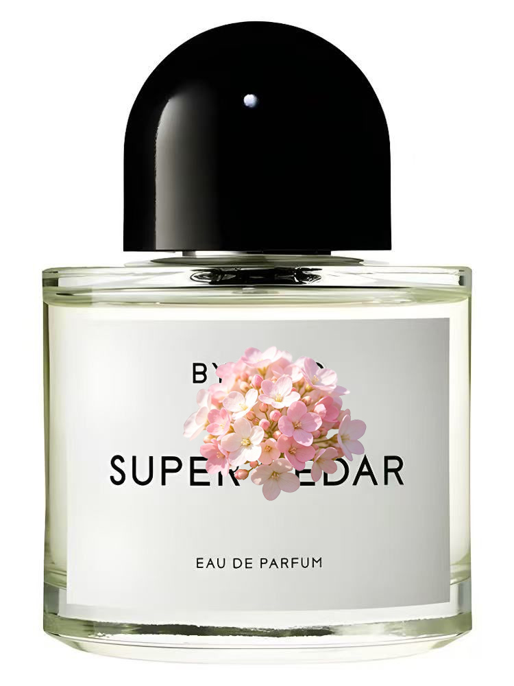 Perfumy unisex 100ml 3.4 fl.oz – Perfume Floral Fragrance recenzja i cena