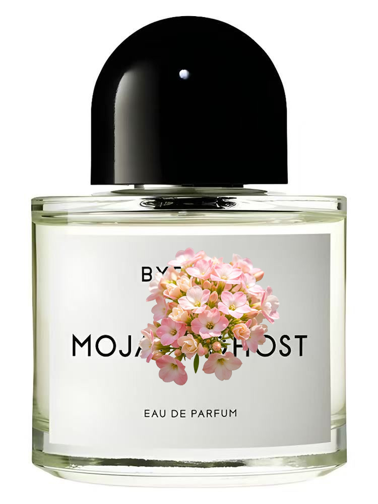 Perfumy unisex 100ml 3.4 fl.oz – Perfume Floral Fragrance recenzja i cena